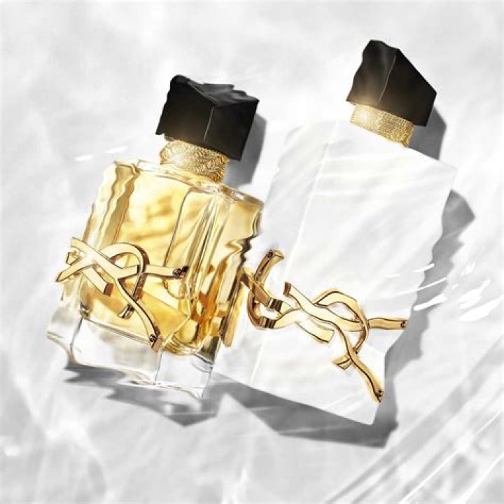 イブ サン ローラン 財布を愛用する芸能人まとめ - 人気モデルと選び方完全ガイド